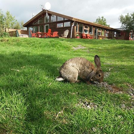 Albergue Geysir Hestar Haukadalur Exterior foto