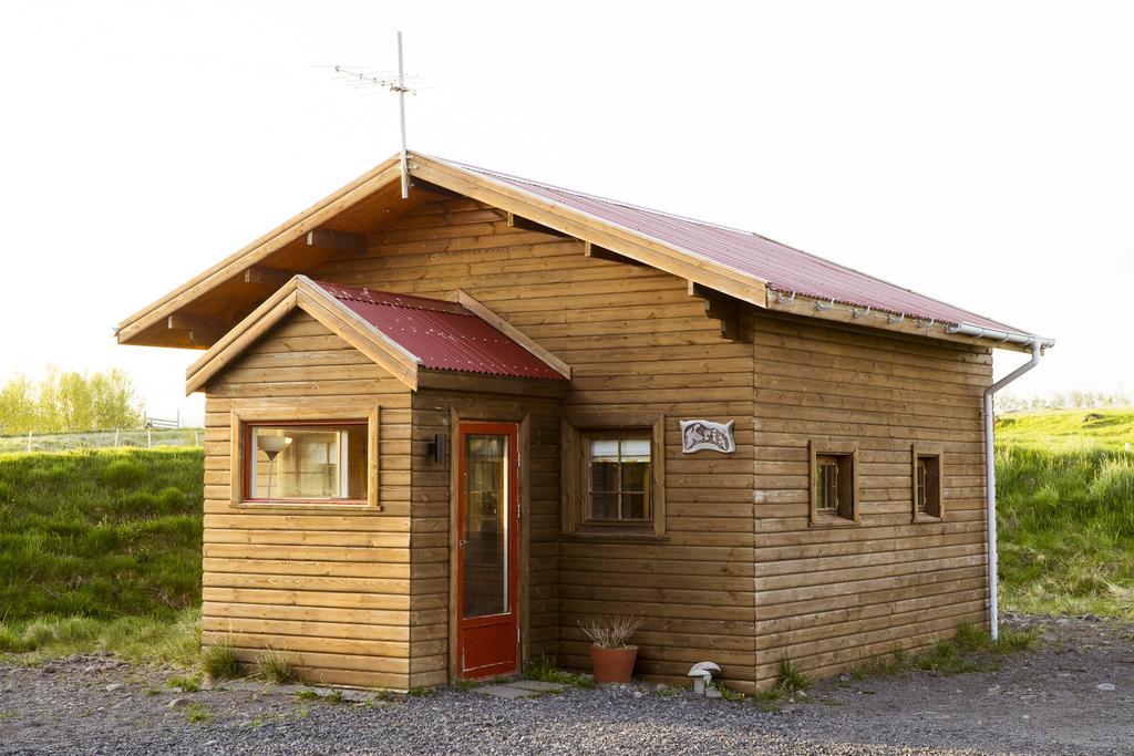 Albergue Geysir Hestar Haukadalur Exterior foto
